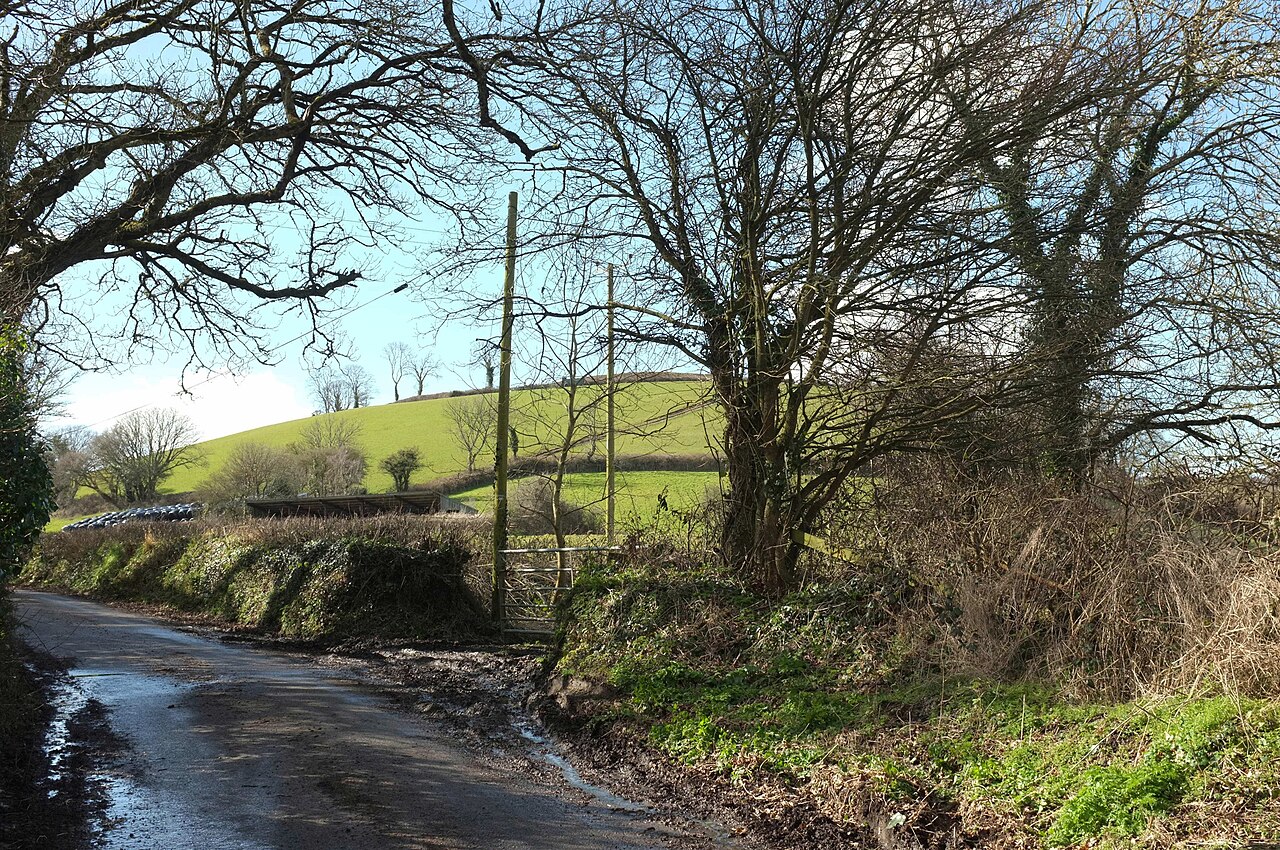 Lane past Glebe Cottage