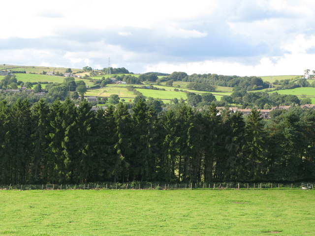 Panorama from Willimoteswick (4, NNW - Tow House)