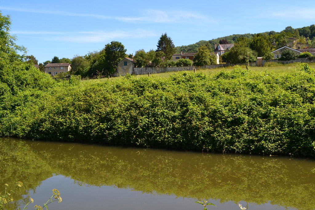 View across the canal to houses in Bathampton Lane