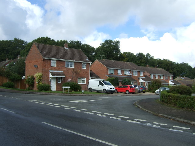 Houses on Beech Road, Beetley