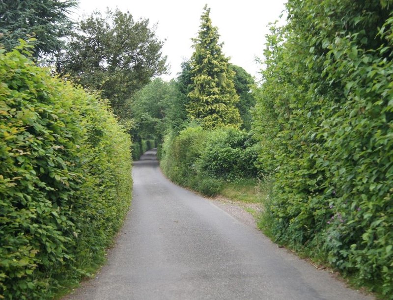 Well hidden houses - Gundleton