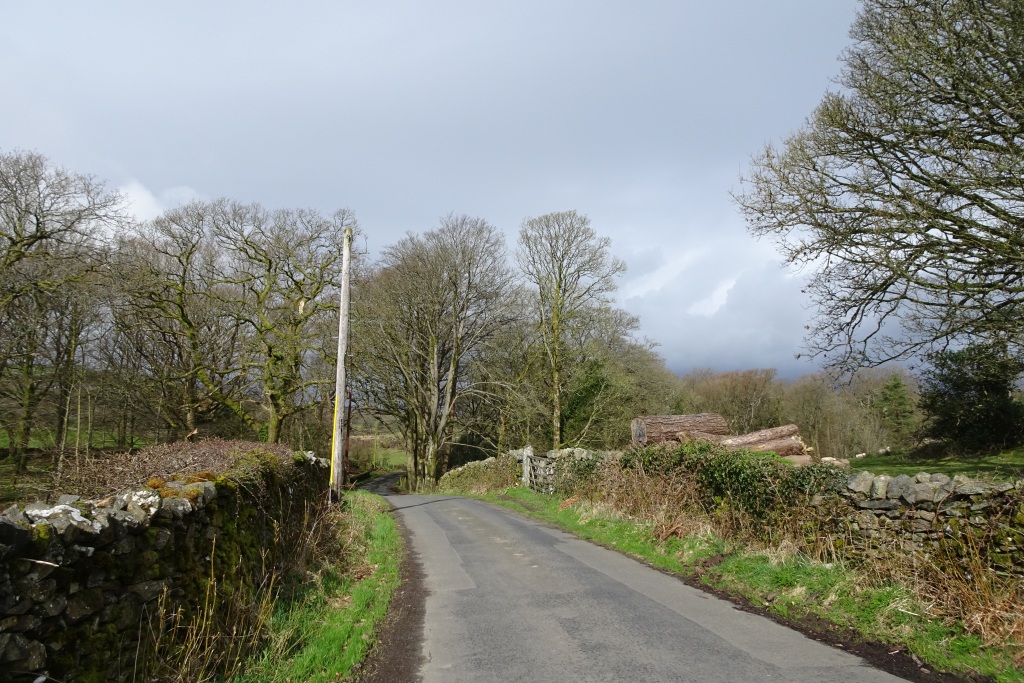 Lane beside Lowick Hall