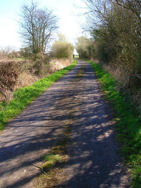 Lane to Brenzett Green