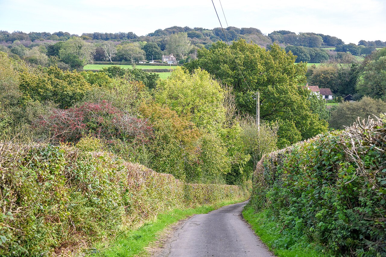 Buckland St Mary , Pound Lane