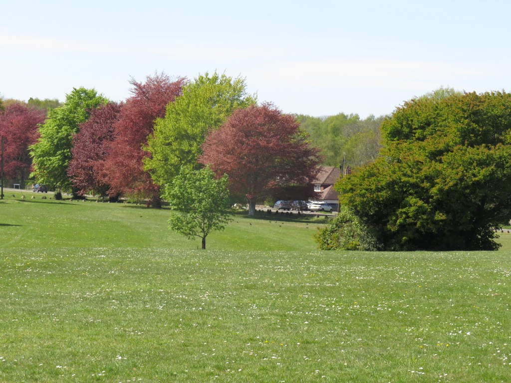 Challock's village green
