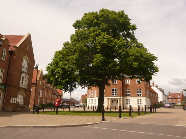 Charlton Down, large tree in village centre