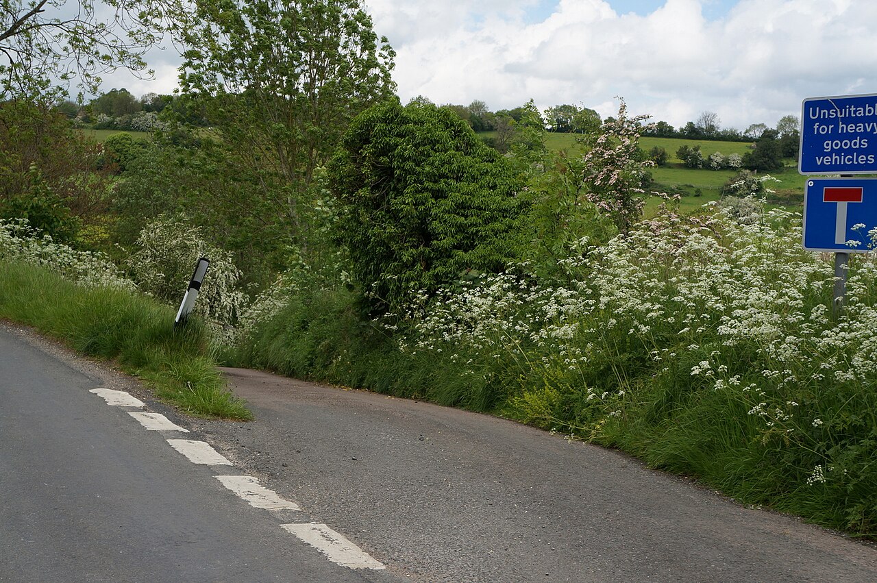 Green Lane to Greenhills Farm