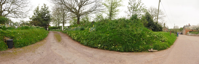 Chevithorne , Orchard Cottage Drive and Village Road