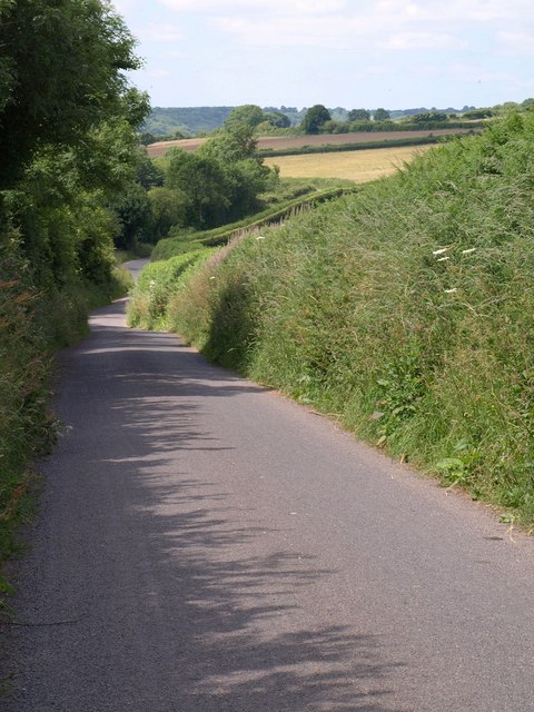 Lane from Forche’s Cross