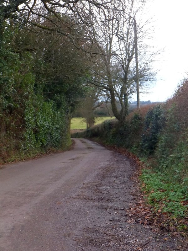 Holmsleigh Green, the road to Cotleigh