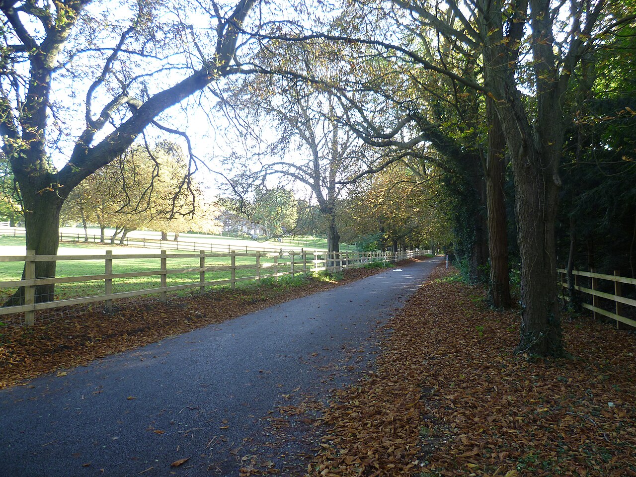The road to Fawkham Manor Hospital
