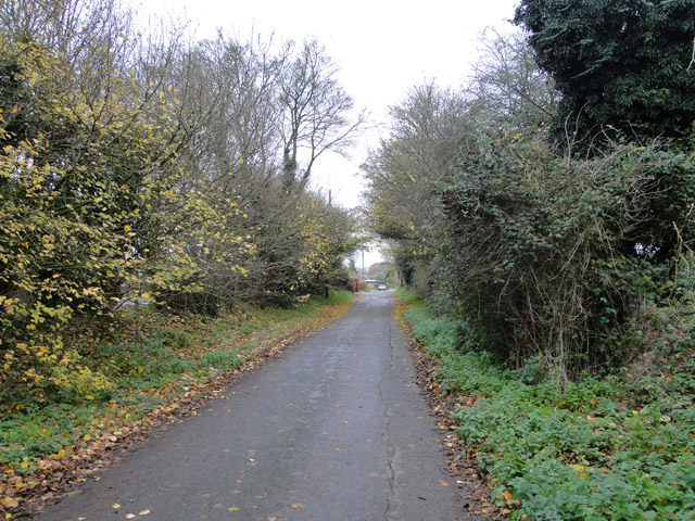 Mill Lane, Great Massingham