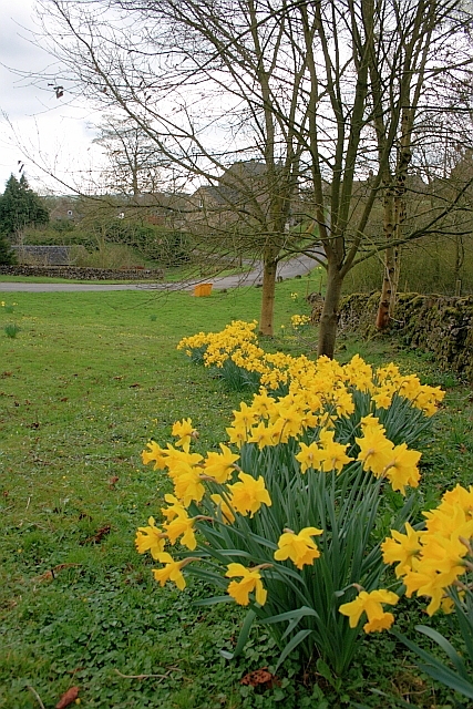 Village Green, Grindon