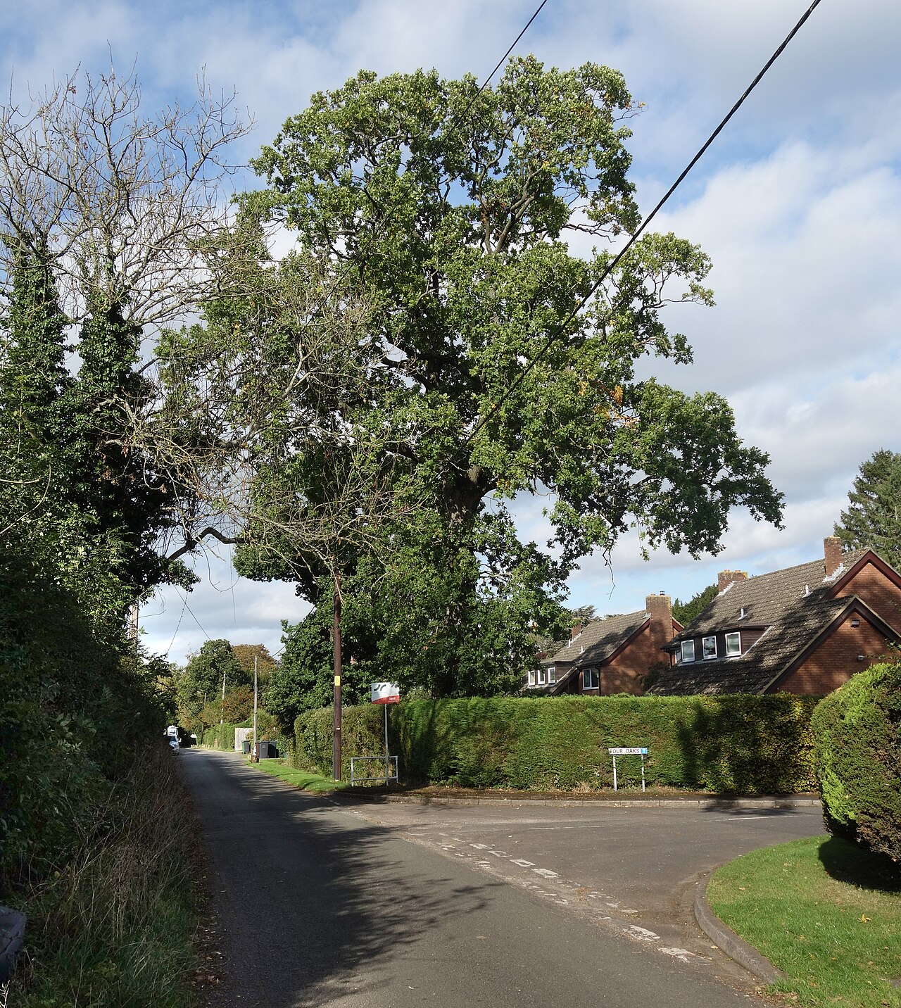 Tubbs Lane, Highclere