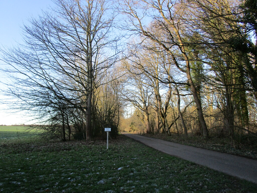 Roadway, Welbeck Abbey estate