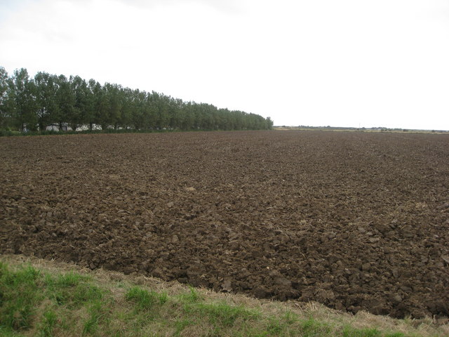 Huttoft - Jolly Common Lane view of ploughed land