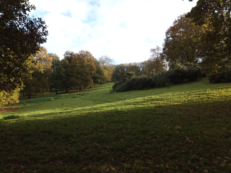 Parkland below Blackborough House
