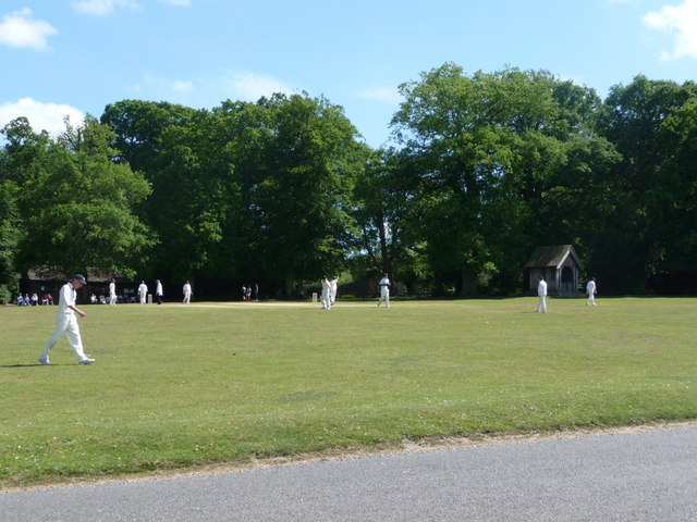 Nomansland, cricket match on the village green