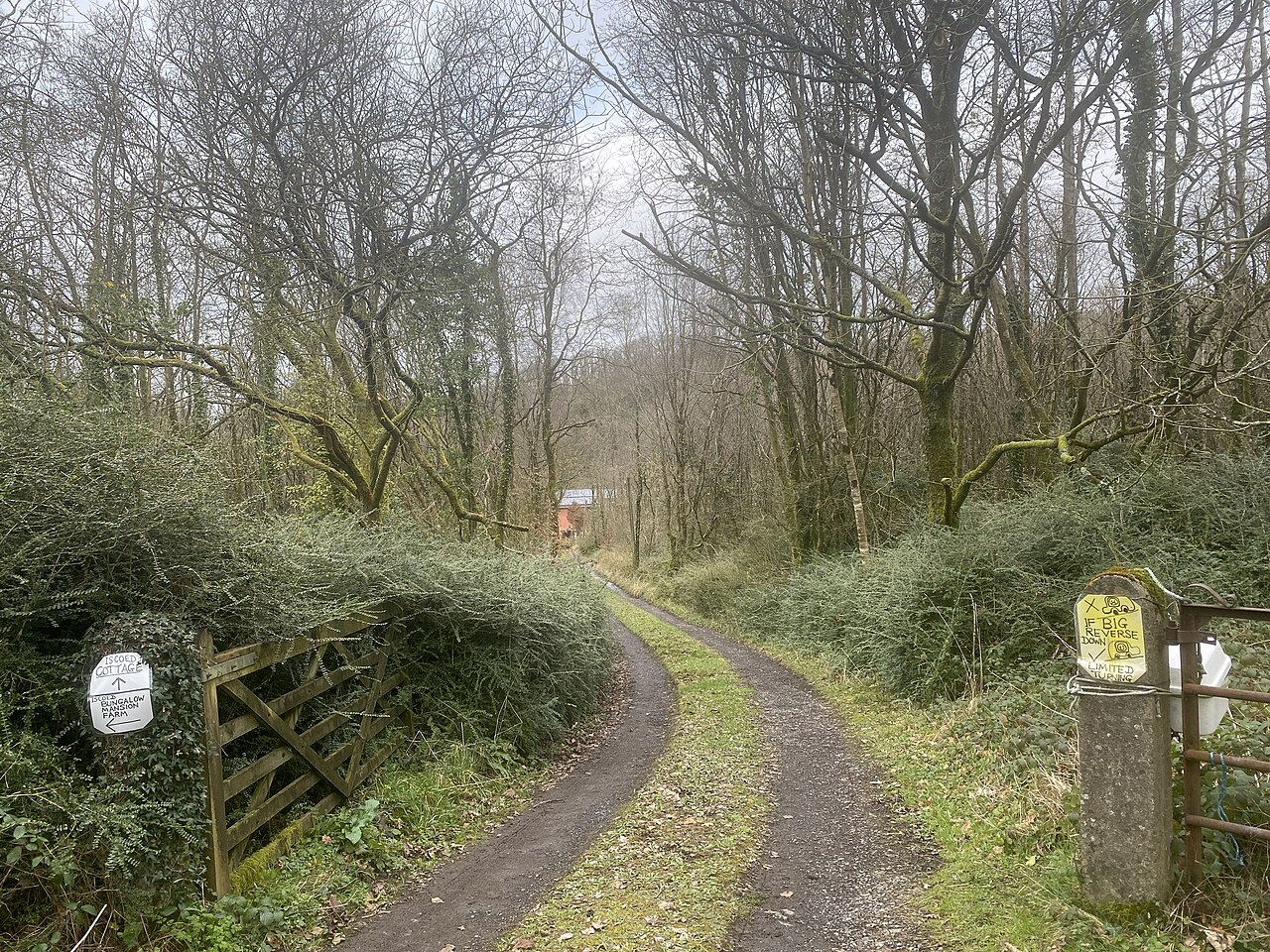 Lane to Iscoed Cottage