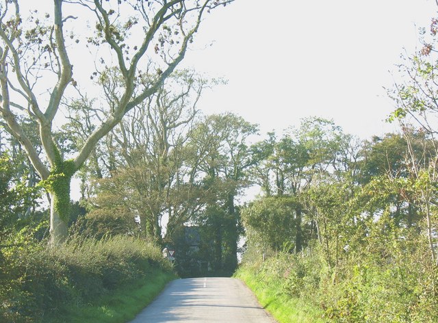Llwyn Onn cottage at the western end of the Llynnon Mill road