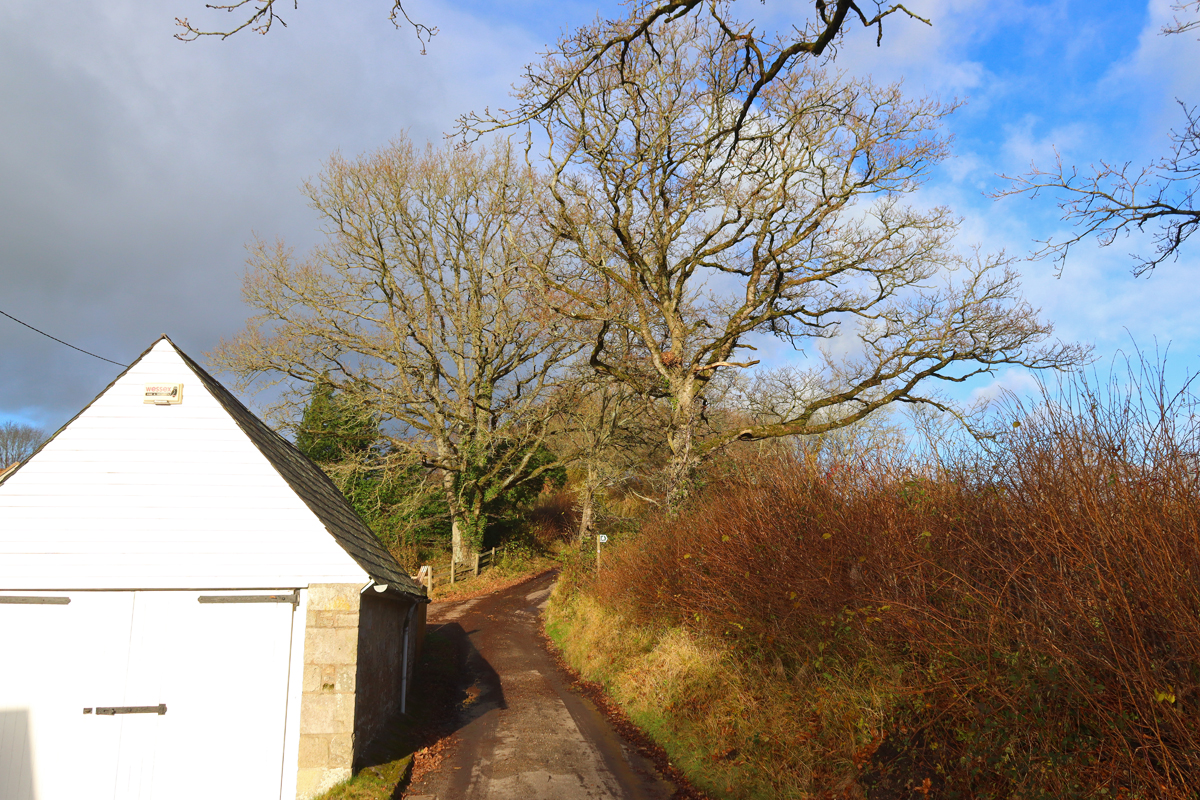 French Mill Lane