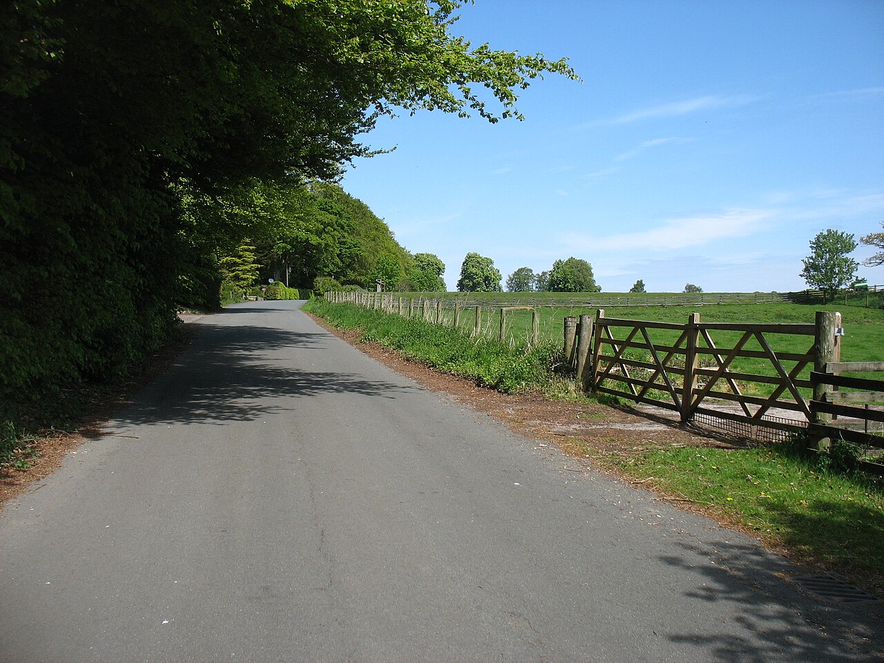 The lane from Brampton Station to Brampton