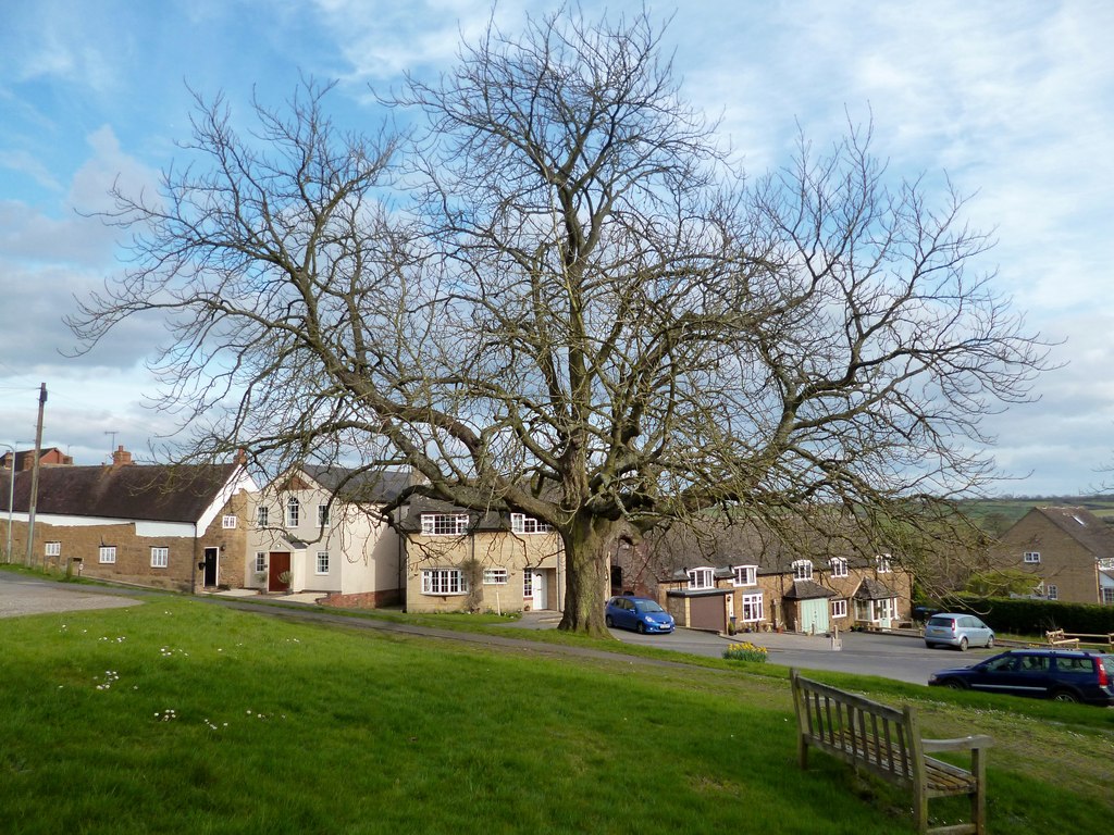 Napton Village Green