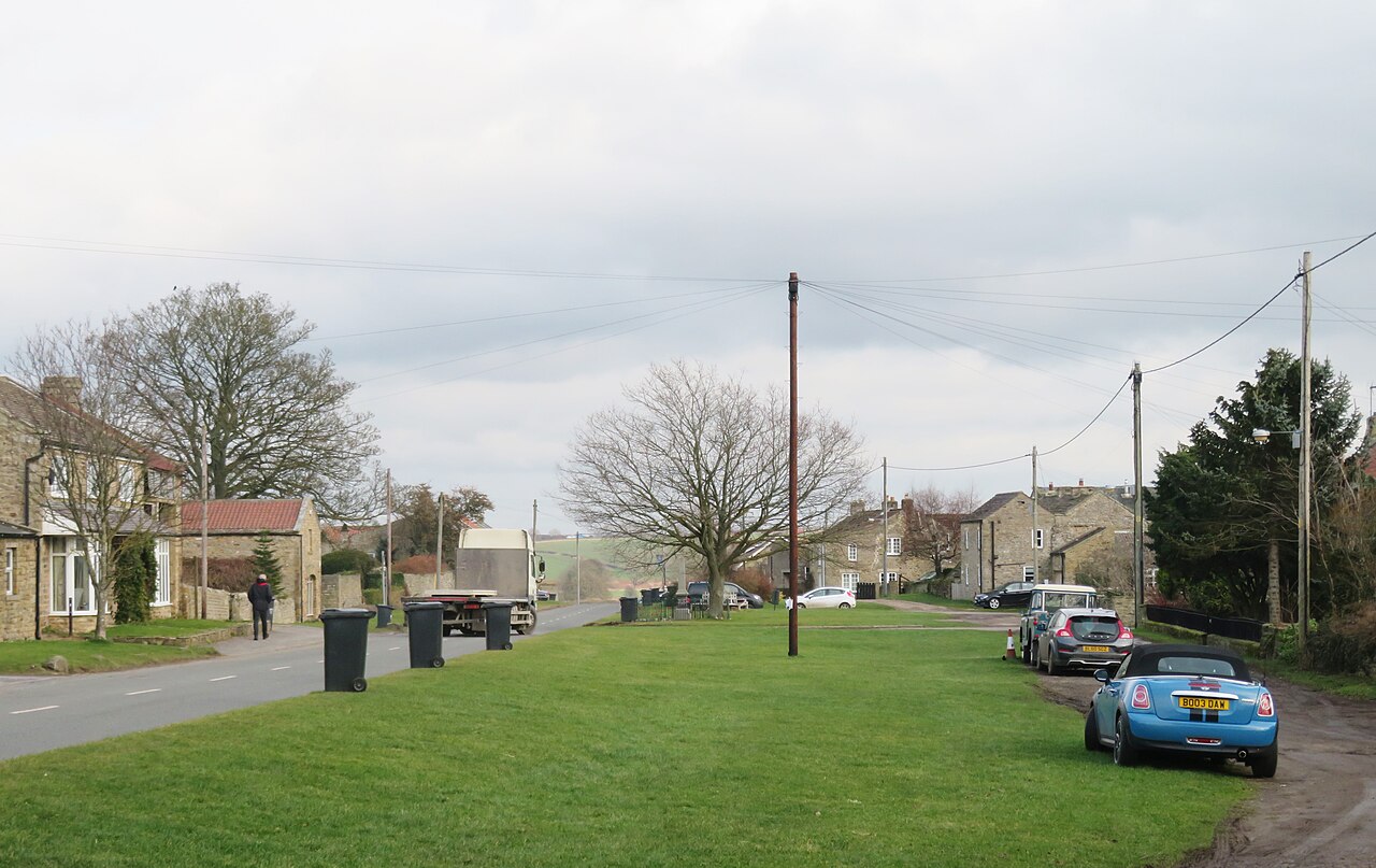 Village street and green, Newsham