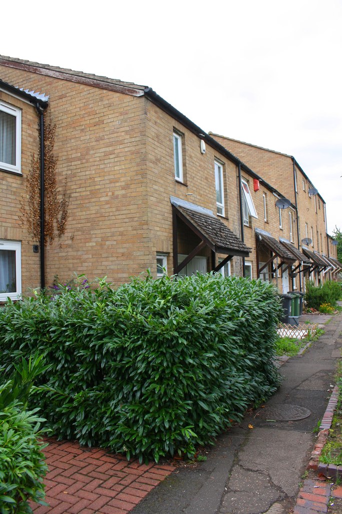 Houses of Clayton
