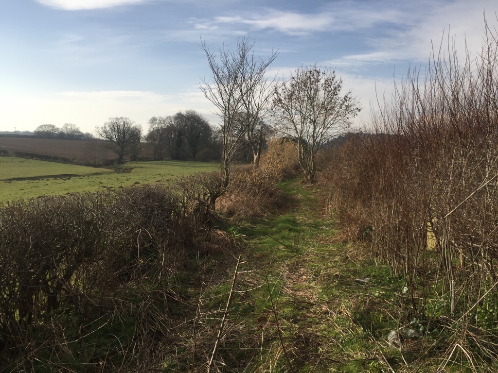 Green lane, Preston Brockhurst