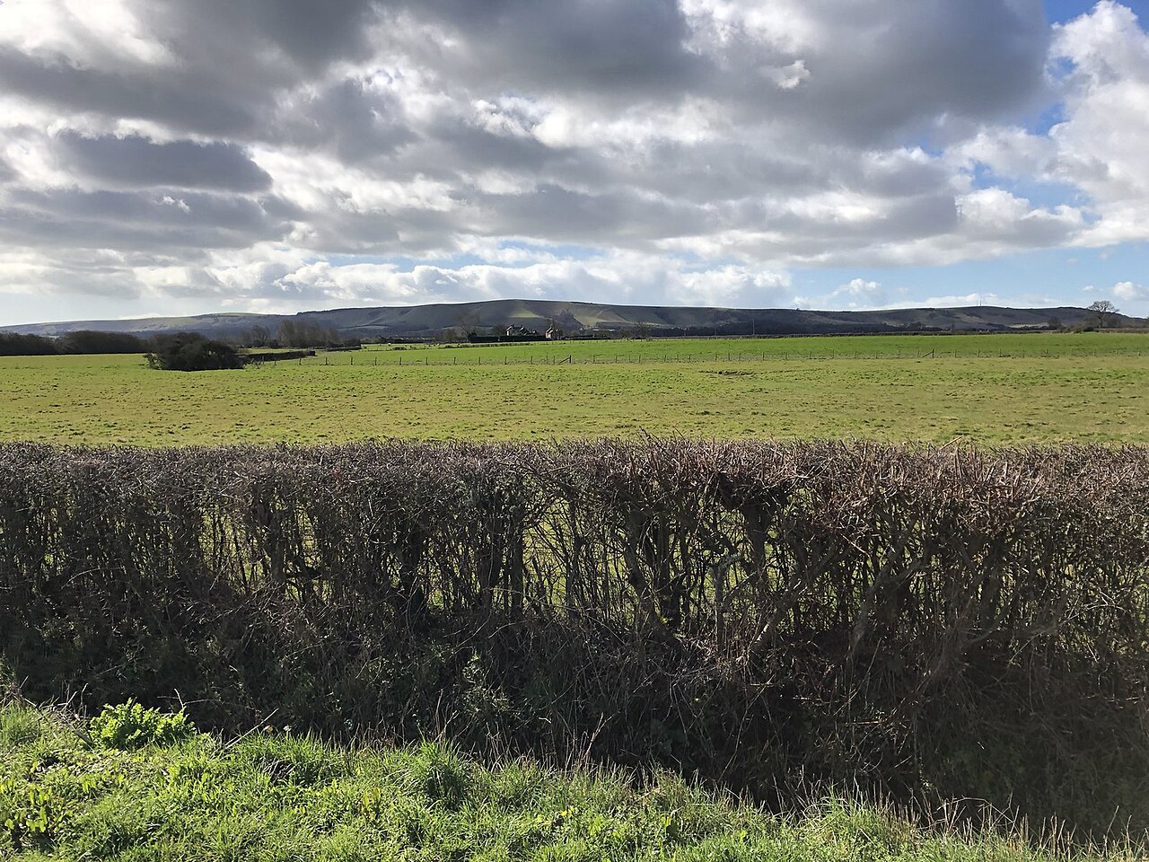 Hall Court Farm