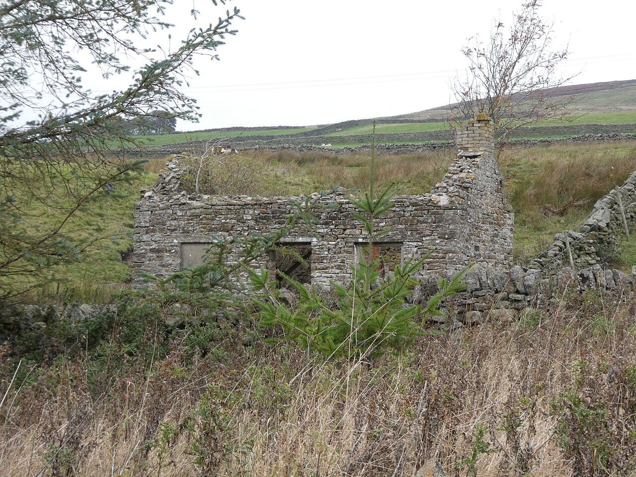 Ruined cottage