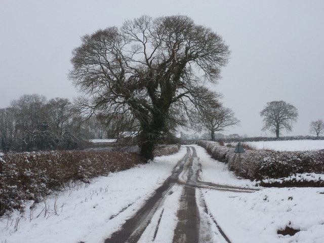 Ryme Intrinseca, Common Lane heads for the village