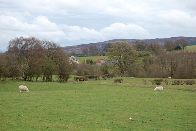 Caefaes, Corwen