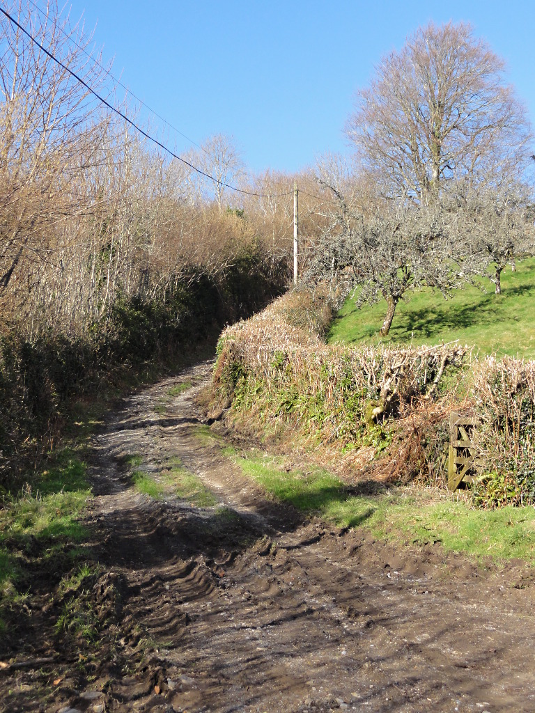 Steep Green Lane to Holne