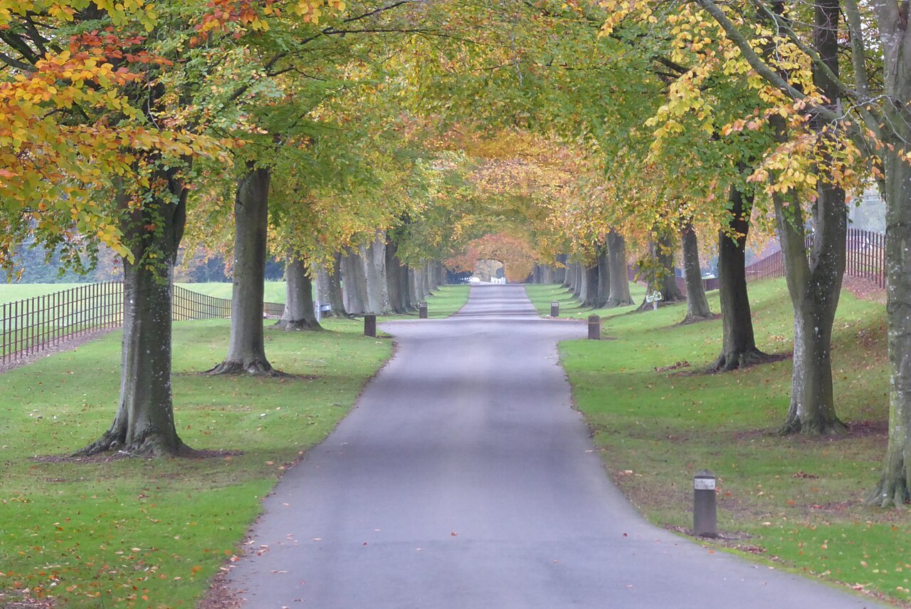 Drive to Shobdon church