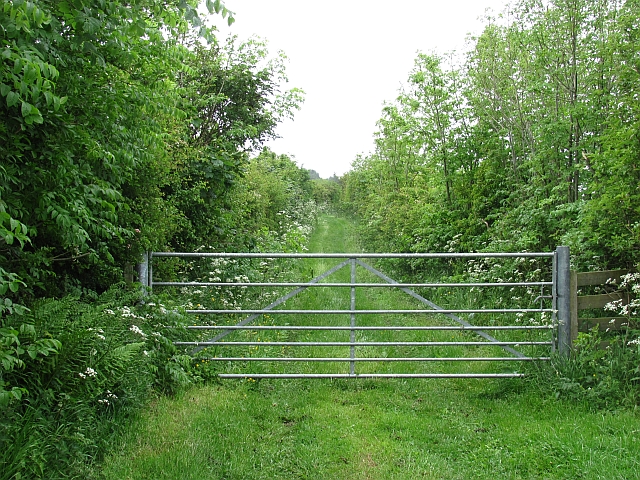 Green lane, South Charlton